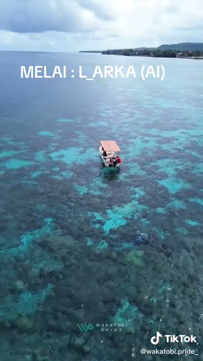 MELAI - L_Arka (Official video) Lagu Wanci