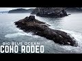 Coho RODEO INSANE Action!! *Day 1 of 2* Ocean Fishing At Its FINEST