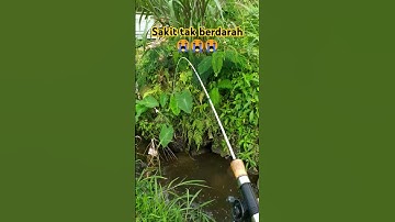 Apa yang anda rasakan??? #mancing #wader #microfishing #fishing #mancingikanwader #mancingmania #fyp