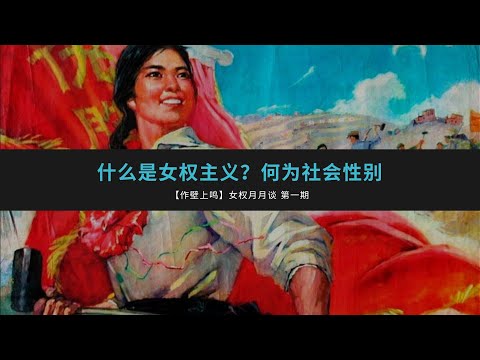 什么是女权主义？何为社会性别 ｜ 主讲人：王政 ｜【作壁上鸣】第一期（1）