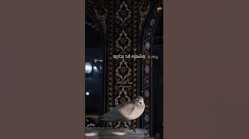 أكل الن اس تشقيه ولا يشكو بما فيه 