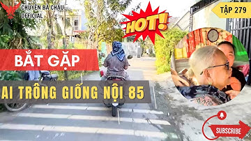 Nội 85 Tuổi Bất Ngờ “Lên Xe” Đi Phượt Cùng Cô Út – Cảnh Tượng Gây Chấn Động Cả Xóm!