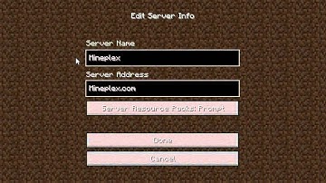The Mineplex server name and  ID