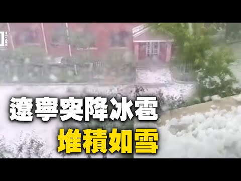 大陆极端天气频现。6月21日，辽宁丹东多地突降冰雹。树叶被冰雹打落一地，地上堆积如雪，白茫茫一片。