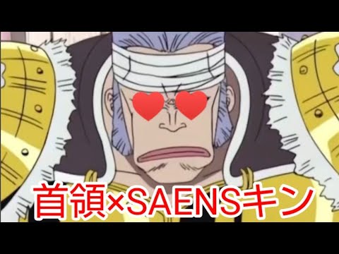 【下ネタ注意】ドン・クリークでSAENSキン（増量版)