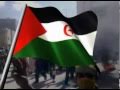 The Occupied Laayoune Western Sahara The Occupied Laayoune Western Sahara