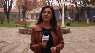YerbasBuenasTv Noticiero 1era Edición