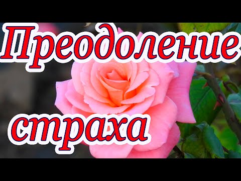 Стихи о Страхе. Преодоление страха 😊 Христианские стихи