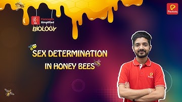 Sex Determination in Honey Bees | Biology | Concept Simplified | Practically