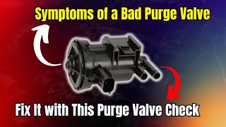Symptoms Of A Bad Purge Valve Fix It With This Purge Valve Check