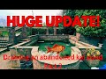 Update on the abandoned koi pond