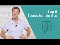 Top 6 foods for gut health  dr josh axe