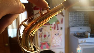 Quick Fix Alto Saxophone Neck Octave