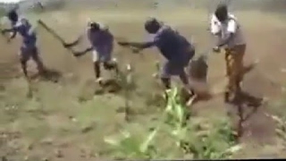 sukuma land