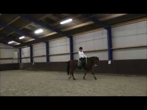 Te koop: Rosaly