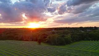 View of the Lavender Field | PepperHarrowFarm.com