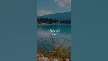 #محمد_هشام #تلاوات #آيات #القرآن_الكريم #قرآن #تلاوة #قران_كريم #قران #تلاوة_خاشعة  #القرآن #quran