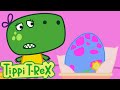 The egg  episodes of tippi trex