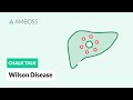 Wilson Disease: Mutations in the ATP7B Gene