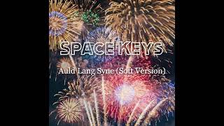 Auld Lang Syne (Soft Version) screenshot 3