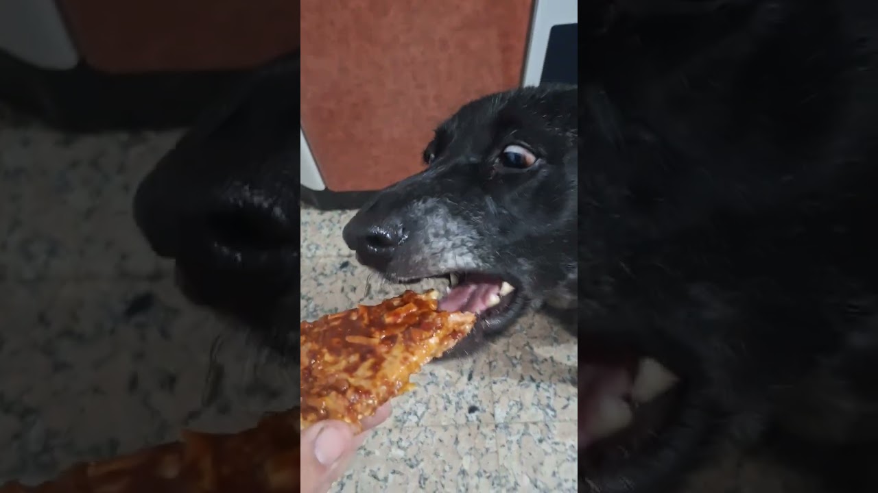 YR+BIRRA VIRALDOGHOG VIERNES PIZZA BARBACOA & ROCK