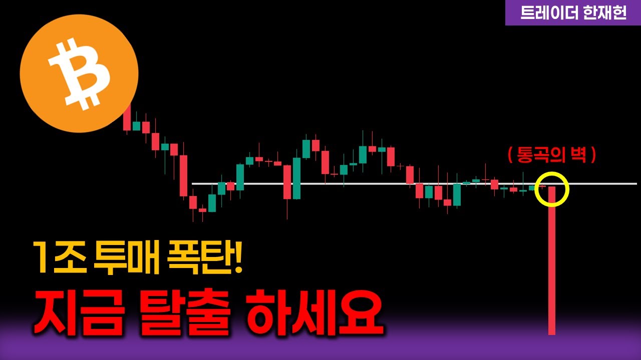 팀 그리핀 - 비트코인 & 알트코인 차트 분석 유튜브 채널 분석 보고서 - NoxInfluencer