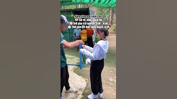 Trải nghiệm đu zipline xuyên rừng dài nhất Châu Á ở Đà Lạt #dalat #shorts #foodreview #nhandian