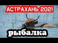 МАЛЕНЬКАЯ РЕКА КИПИТ РЫБОЙ,РЫБАЛКА НА КАРАСЯ,РЫБАЛКА В АСТРАХАНИ 2021