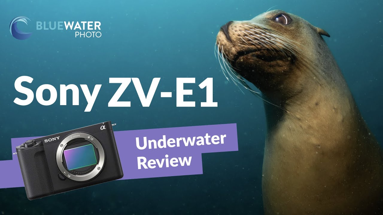 Sony ZV-E1 Review and Specs Comparison