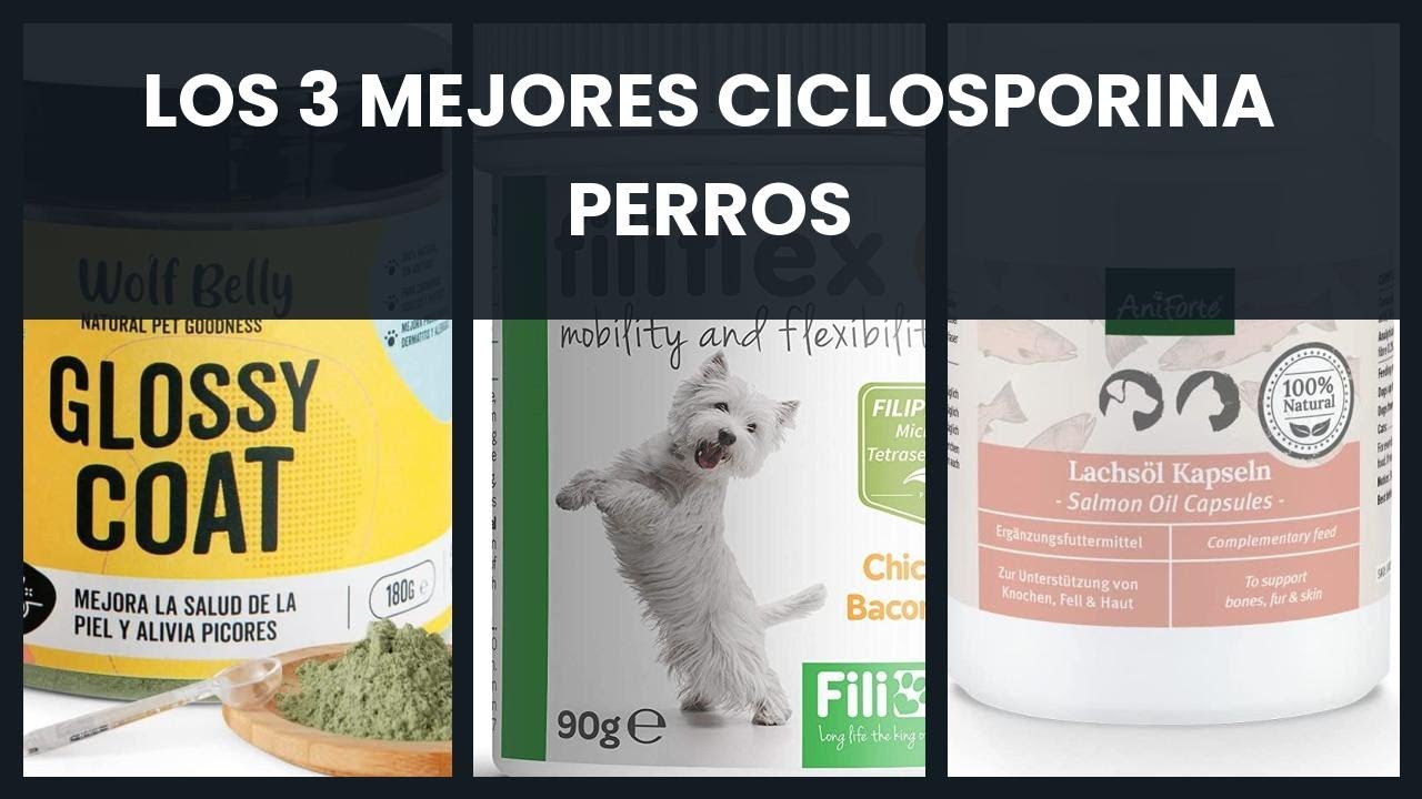 ¿Puedo utilizar medicamentos de uso humano en mi mascota? Tu Farmacéutico  Informa - #Farmascotas 