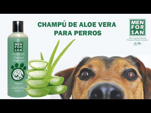 Voluntario Cerdo Consejos Champú de Aloe Vera para perros - MENFORSAN - YouTube