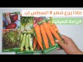 مادا يزرع شهر 8 اغسطس اب الزراعة الصيفية mp3