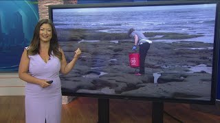 Working for Our Planet | Pick up trash wherever you see it