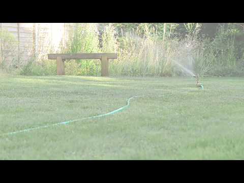 The Importance of Watering Your Lawn | Lawn care UK