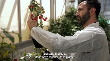 Federico Ariel, 2023 laureate of the UNESCO–AI Fozan International Prize