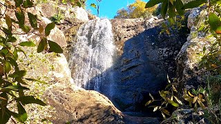 Exploring around the east of Alcalá de los Gazules