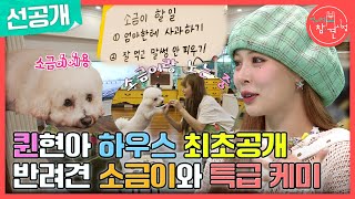 [전지적 참견 시점 선공개] 현아의 손길과 취향이 묻어있는 집💒 최초 공개! 반려견 소금이🐶와의 특급 케미❤, MBC 240511 방송