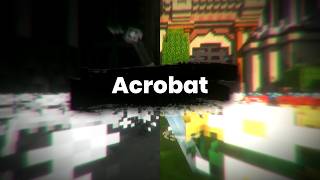 The Curious Case of Wynncraft's Acrobat The Curious Case of Wynncraft's Acrobat