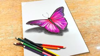 Download Best Of Butterfly Drawing Colour Pencil Free Watch Download Todaypk