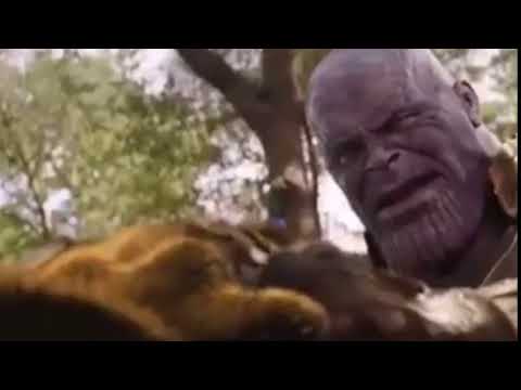 kung-fu-panda-vs-thanos-(infinity-war-meme)