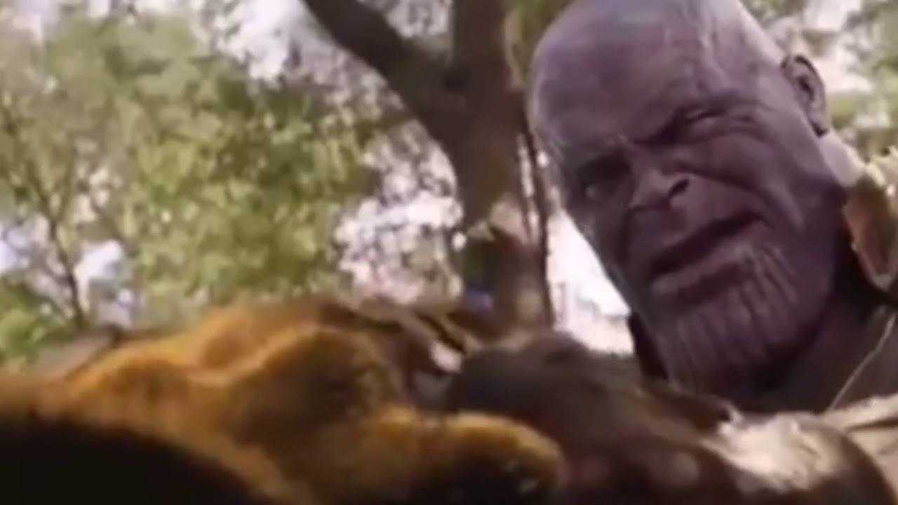 Kung Fu Panda Vs Thanos Infinity War Meme Youtube