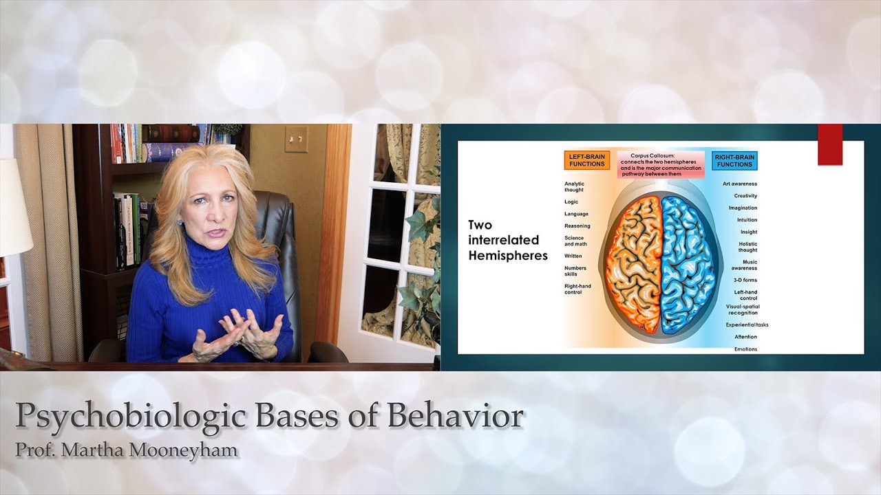 Psychobiologic Bases of Behavior - YouTube