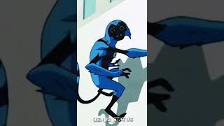 Celebrity spider monkey Net Worth