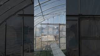 直香園芸農場ビニールハウス1つ目完成