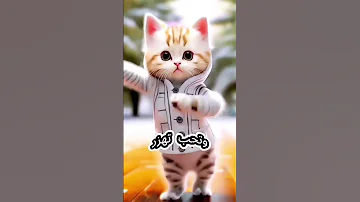 حمزه يا قمر يا جميل يا مسكر اغنيه باسم حمزه 