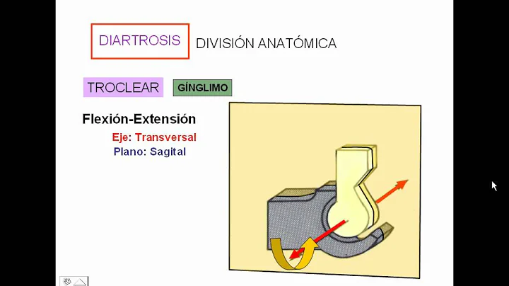 1  Generalidades de articulaciones