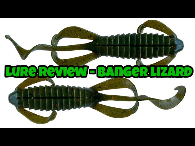 Lure Review - Banger Lizard 