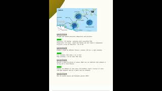 Exam 1 BIO 201 BIO201 NEW 2025 2026 Update Human Anatomy and Physiology I Review Questions  Answers