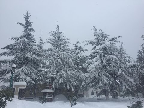 ხიხაძირში ზვავი ჩამოწვა - დიდთოვლობა მაღალმთიანეთში