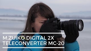 How to use the 2x Teleconverter MC-20 for Wildlife Photography